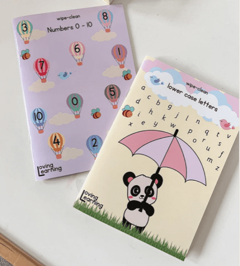 BUNDLE Wipe Clean Numbers 0-10 & Lower Case Letters Workbooks - The ...