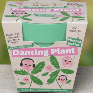 Dancing Plant Growing Kit with Pot