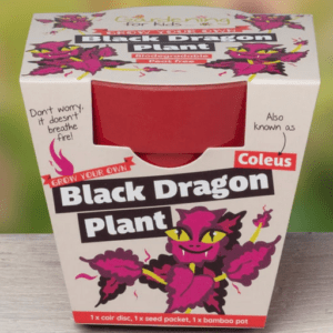 Black Dragon Plant Growing Kit with Pot