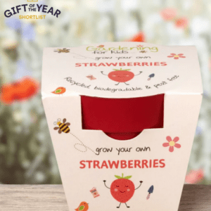 Strawberries Growing Kit with Pot