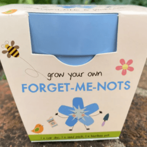 Children's Forget-me-nots Growing Kit with pot