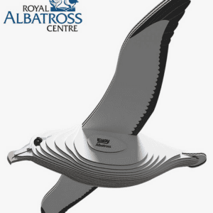 Eugy Royal Albatross